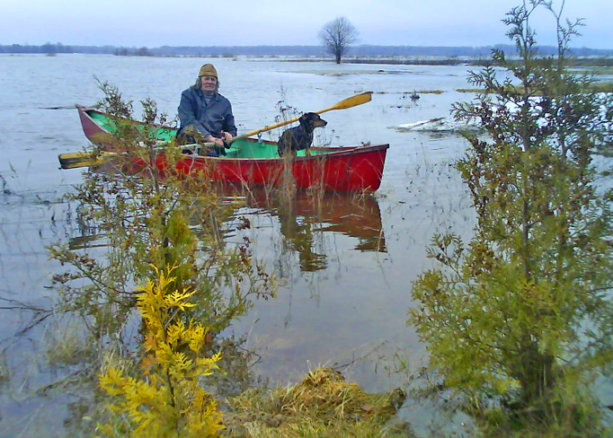 Plūdi Lielupē 2010