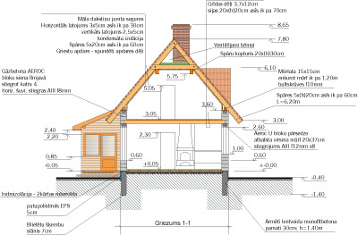 Ekonomiska vienģimenes dzīvojamā ēka, projekts