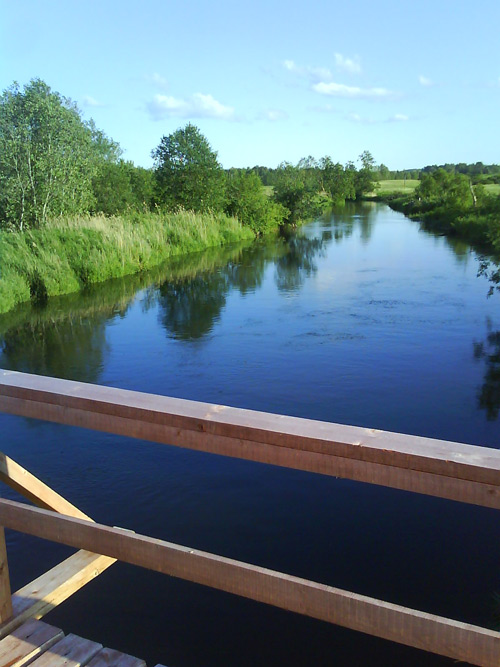 Tilta projekts, tilts pāri Gaujai