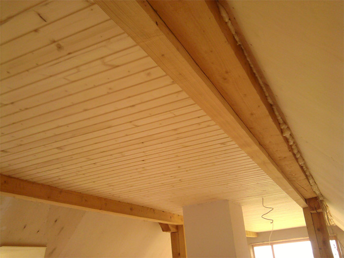 ProjektsAnsis_bildes_301