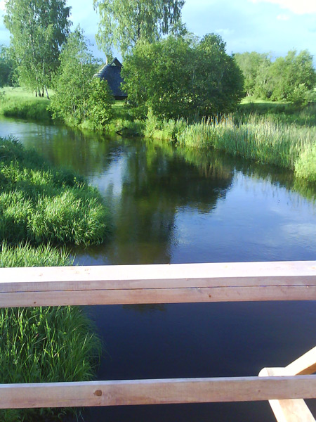 Tilta projekts, tilts pāri Gaujai