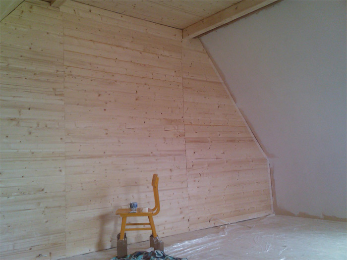 ProjektsAnsis_bildes_06