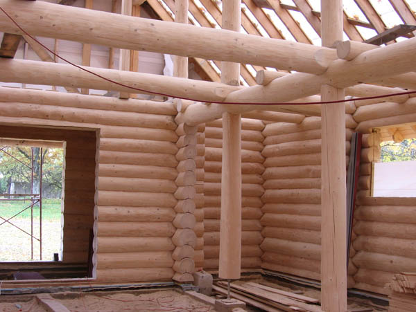 Guļbaļķu baznīca Lēdmanē, projekts