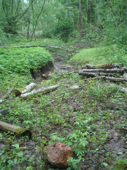 Dabas parks Ulubele