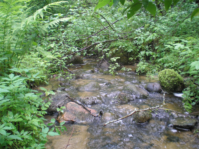 Dabas parks Ulubele