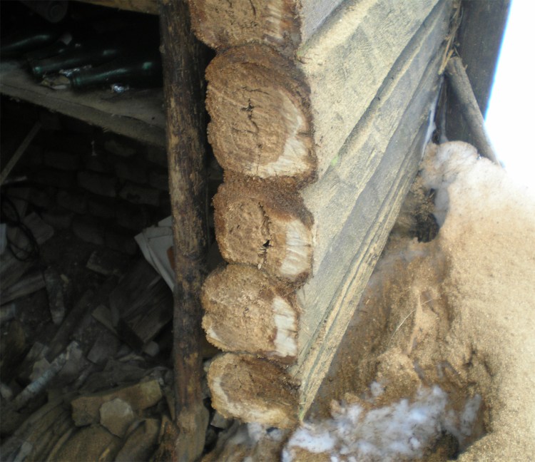 Guļbaļķu sienas mitruma ietekmē, 30 gadu ekspluatācijas laikā