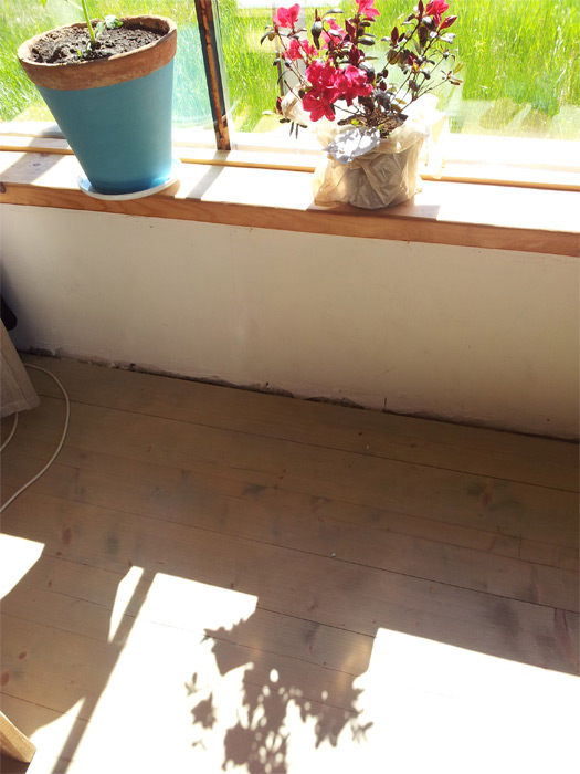 ProjektsAnsis_bildes_315