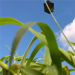 Fotografēšana no gaisa - aerofoto izmantojot pūķi