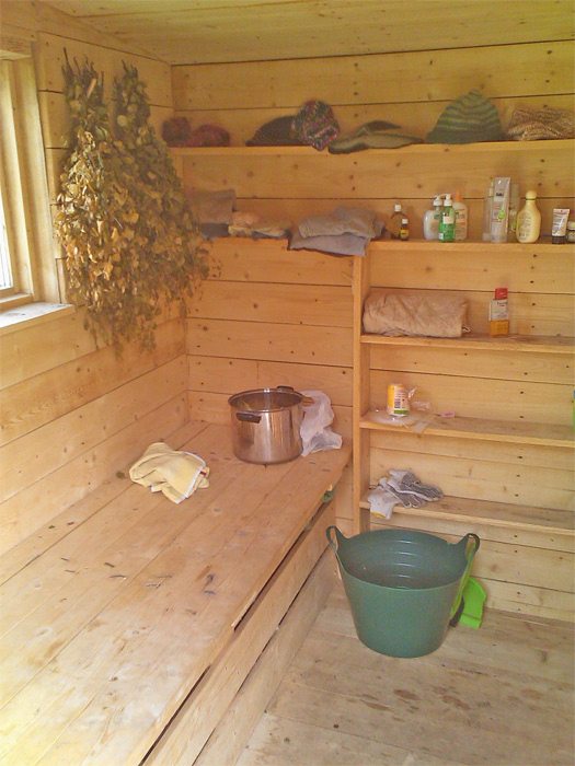 Pirts sīkmājas - projekts, realizācija