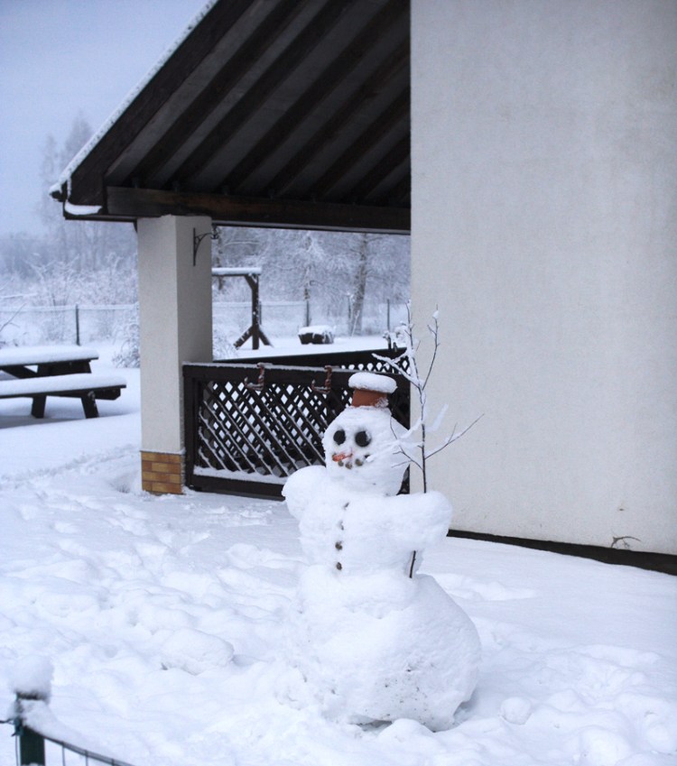 Dzīvojamās mājas projekts "Agris", uzbūvētās mājas attēli