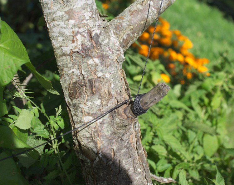 Aerofoto ar paštaisītu pūķi