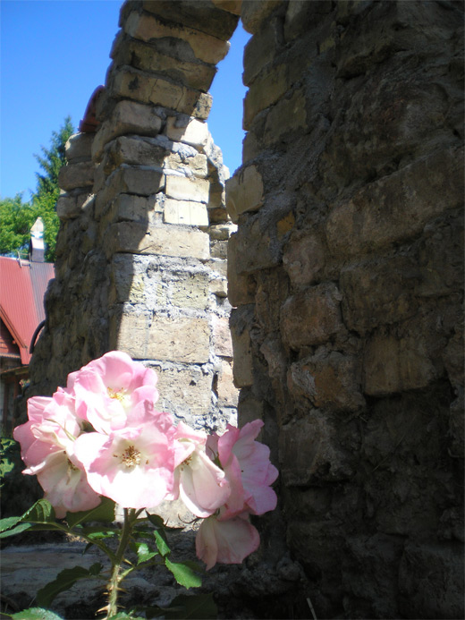 Rožu dārzs ar ķieģeļu arkām