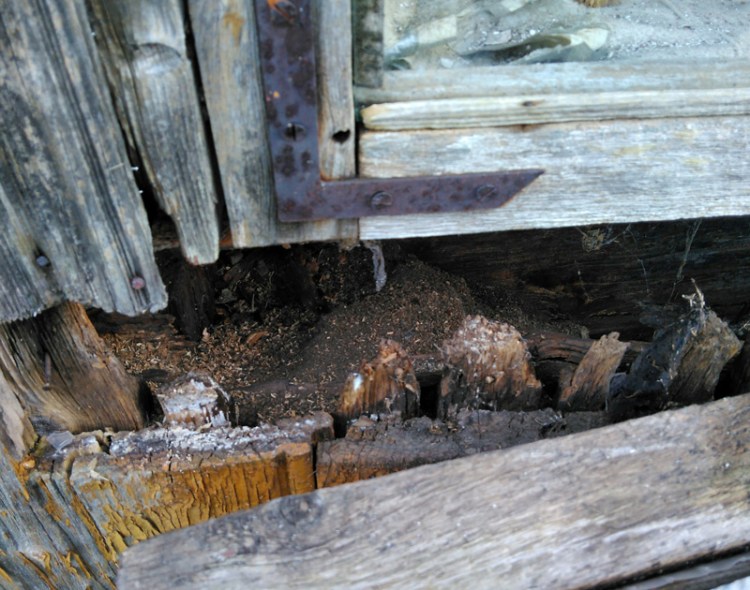 Rekonstruēt - atjaunot, vai būvēt jaunu māju?