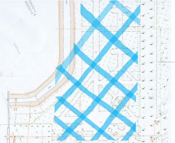 Āderu tīklojums Rundāles pils rožu dārzā