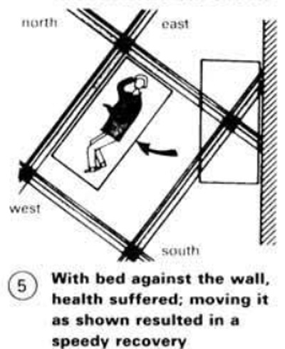Veselīga guļvieta āderu tīklā, Neiferts