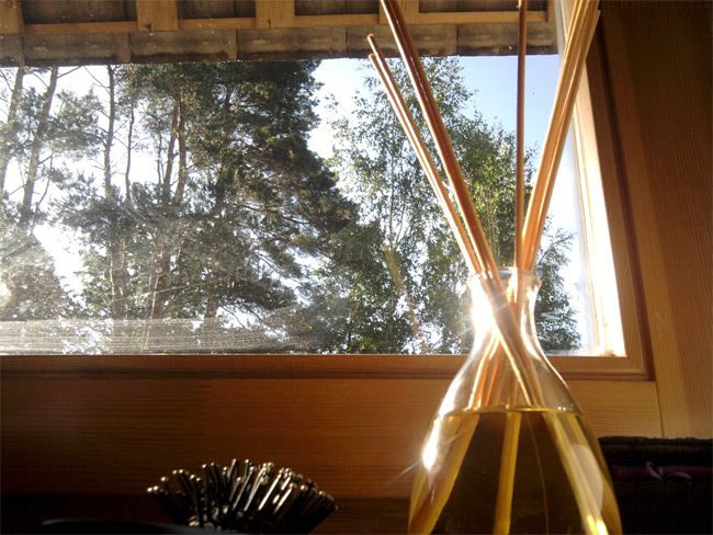 ProjektsAnsis_bildes_310