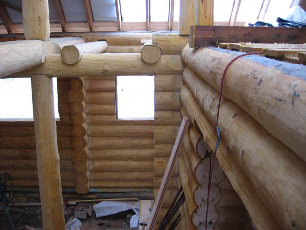 Guļbaļķu baznīca Lēdmanē, projekts