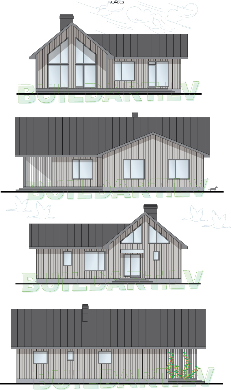 Mājas projekts "Naija" - fasādes