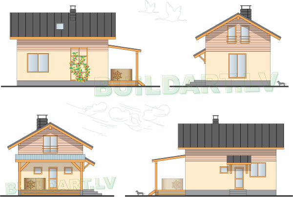 Pirts projekts "Bella"