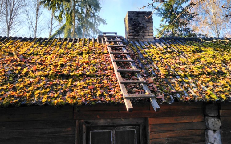 Daļēja jumta nomaiņa - senā jumta puse