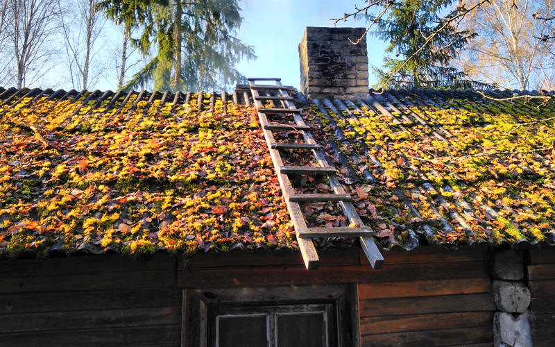 Daļēja jumta nomaiņa - senā jumta puse