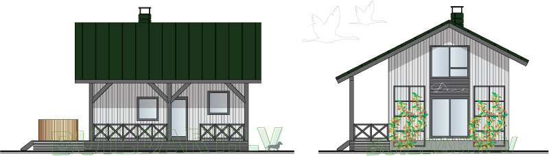 Pirts projekts "Jaunā Dana"