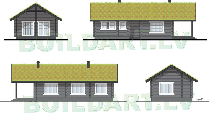 Projekts namiņam pie Dabas - fasādes