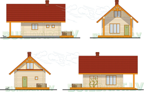 Pirts projekts "Rūdis"