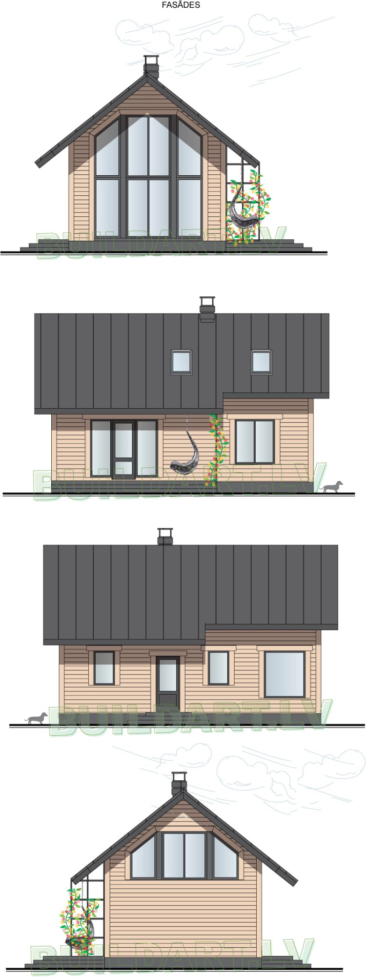Mājas projekts "Annele" - fasādes