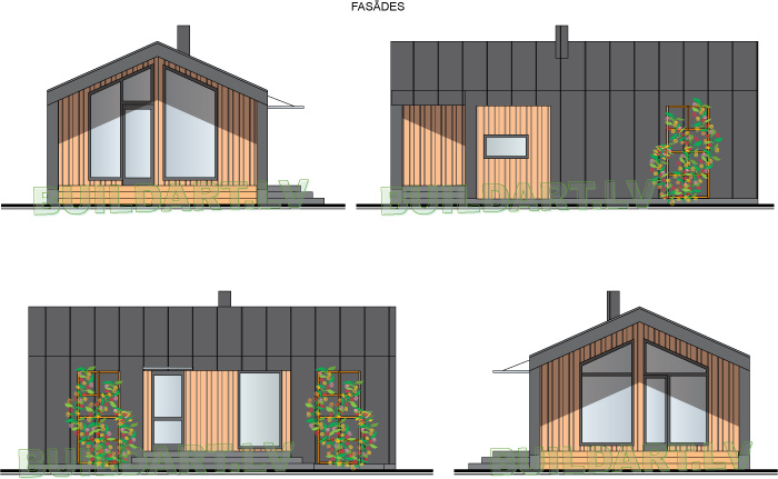 Mazēkas projekta fasāžu varianti